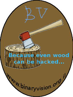 bv logo Binaryvision logo mockup